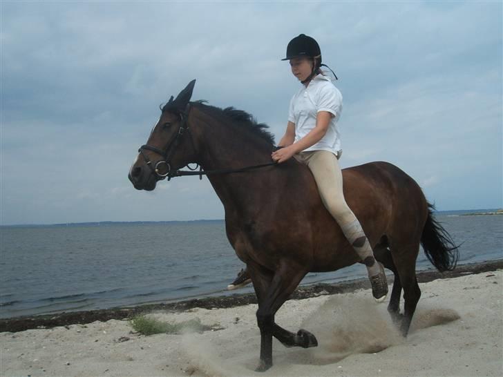 Ulbjerg Klint strand-billeder billede 22