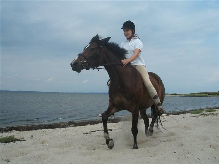 Ulbjerg Klint strand-billeder billede 23