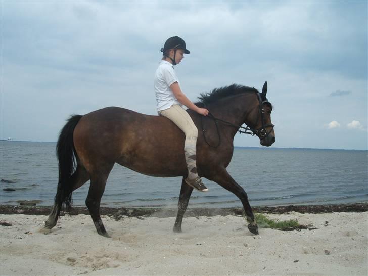 Ulbjerg Klint strand-billeder billede 25