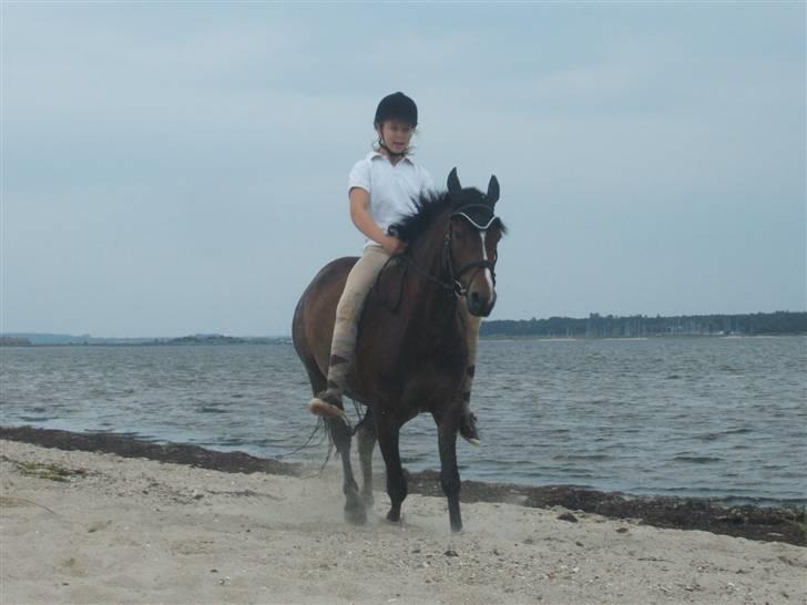 Ulbjerg Klint strand-billeder billede 27