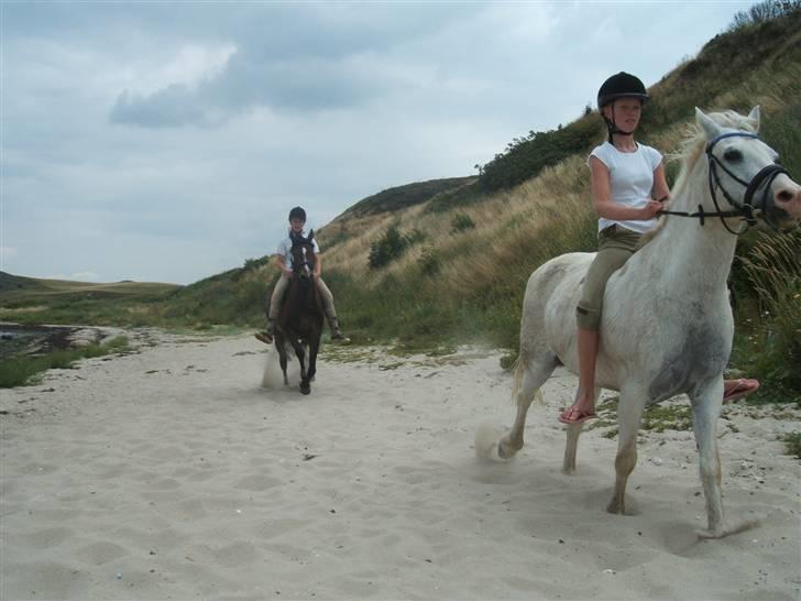 Ulbjerg Klint strand-billeder billede 32