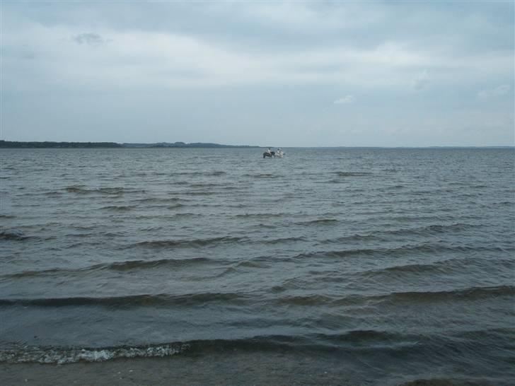 Ulbjerg Klint strand-billeder billede 33