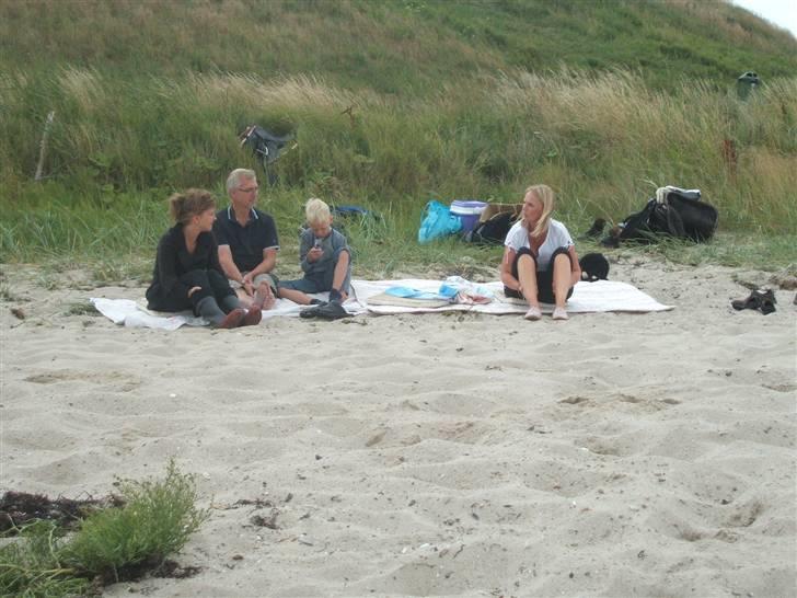 Ulbjerg Klint strand-billeder billede 34