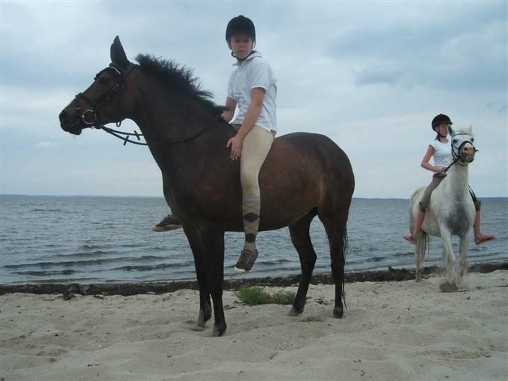 Ulbjerg Klint strand-billeder billede 35
