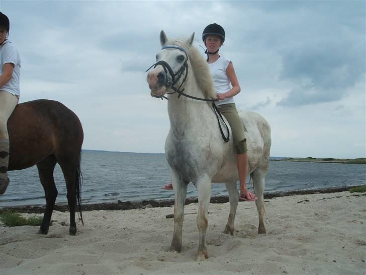 Ulbjerg Klint strand-billeder billede 37
