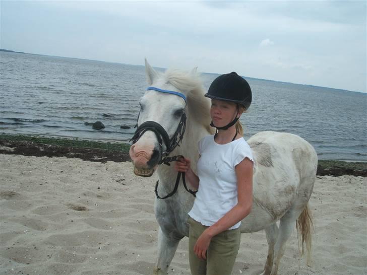 Ulbjerg Klint strand-billeder billede 38