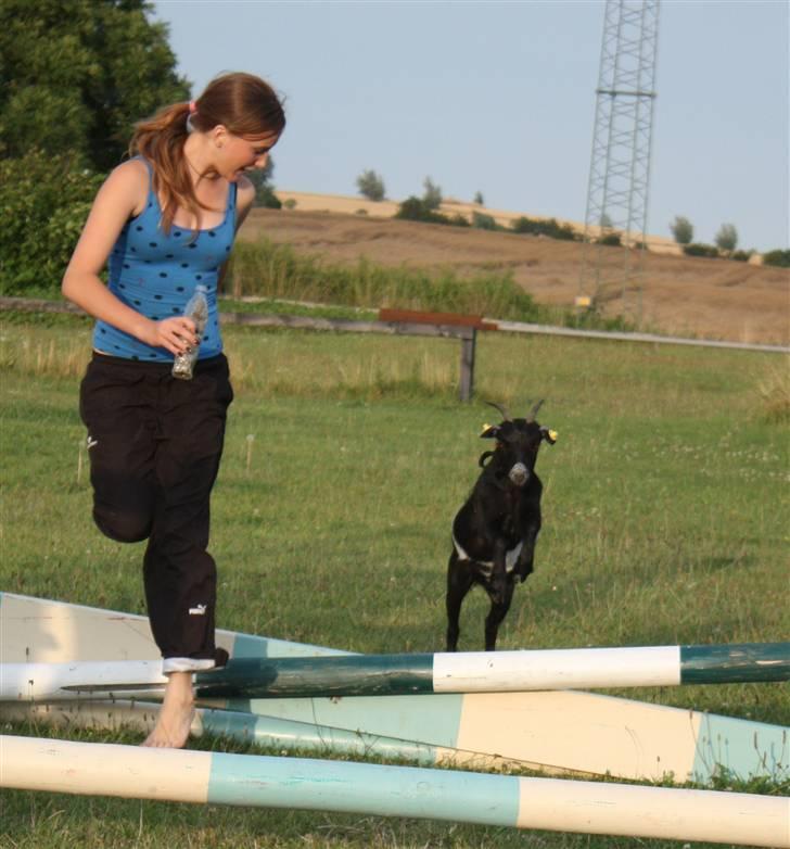 Min ged  - Mig og lis springer! hun er rigtig godt til det :) billede 21