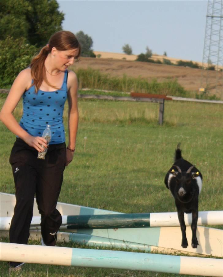 Min ged  - Nur, hun er så dygtig :) billede 22