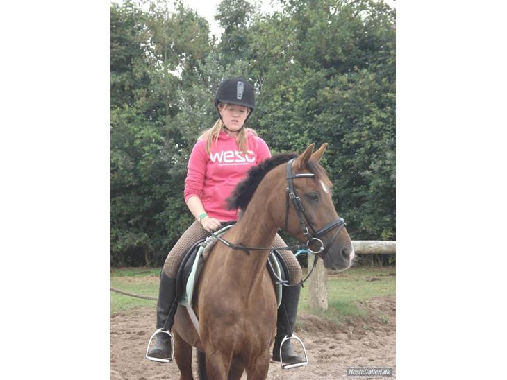 {{currentPhoto.altText}} billede {{currentPhoto.number}}