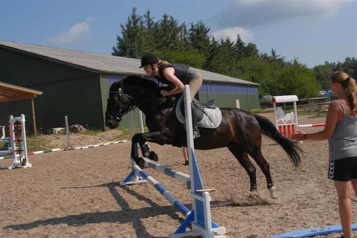 Charlie - Min part - Springning på ridelejren billede 1