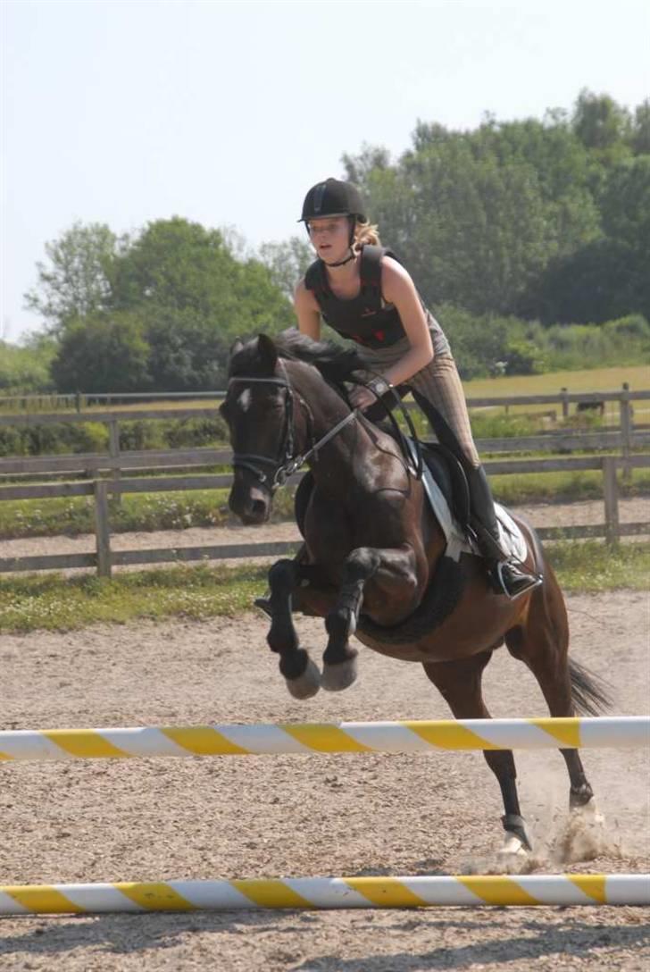 Charlie - Min part - Springning på ridelejren billede 2