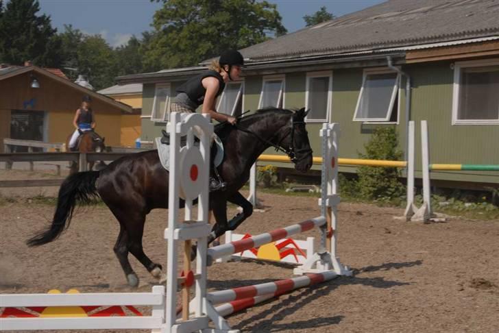 Charlie - Min part - Springning på ridelejren billede 3