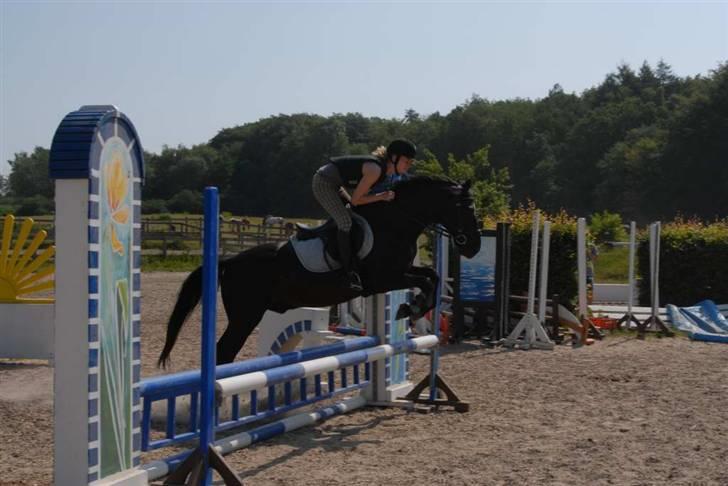 Charlie - Min part - Mere Springning på ridelejren billede 4