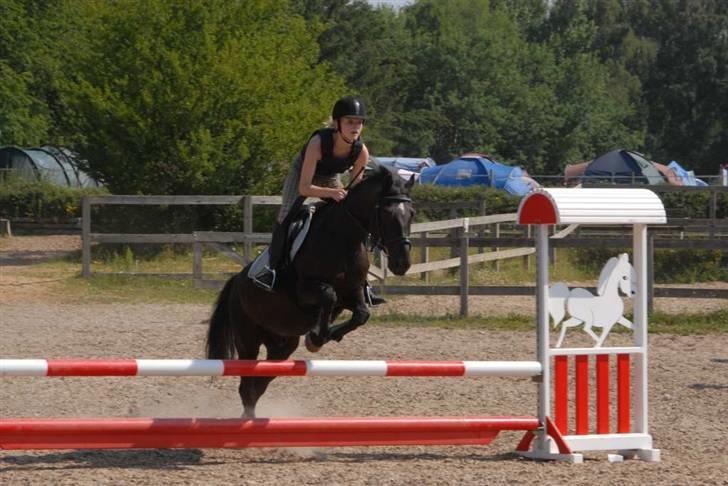 Charlie - Min part - Endnu mere Springning på ridelejren billede 5