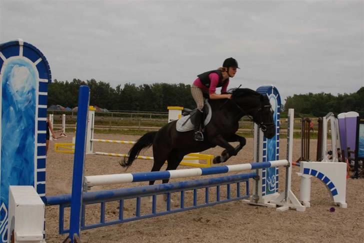 Charlie - Min part - Mere sprigning stadig på ridelejren :'D billede 8