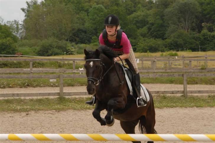 Charlie - Min part - Den har ører ö ? billede 10