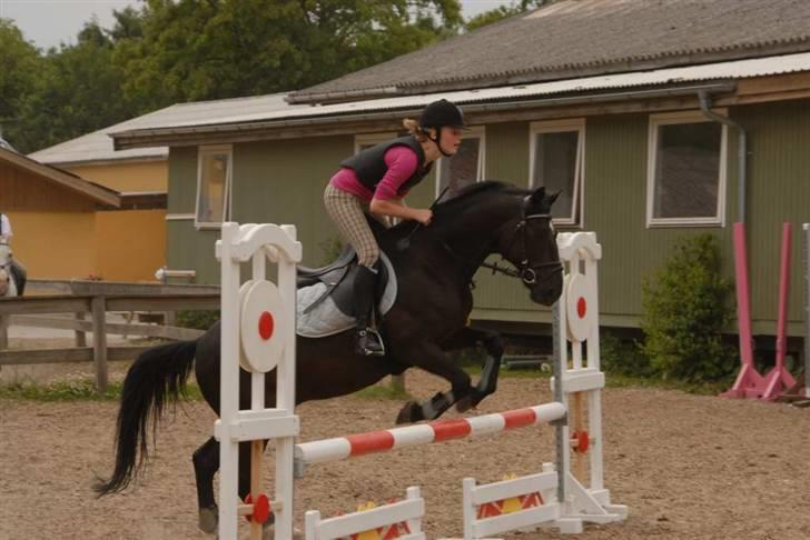 Charlie - Min part - Øhm lidt Sløret? billede 11