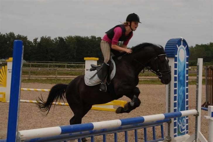 Charlie - Min part - Ørene forsvandt? billede 12