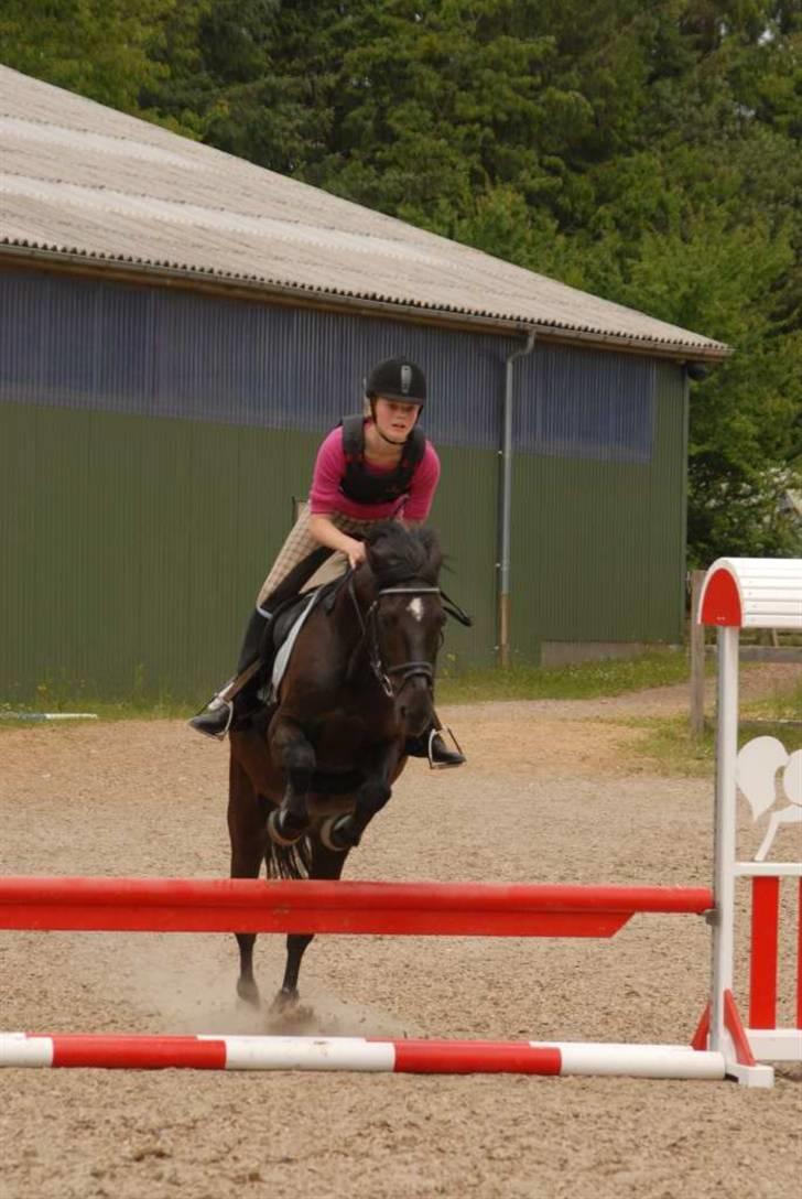 Charlie - Min part - Igen? billede 13