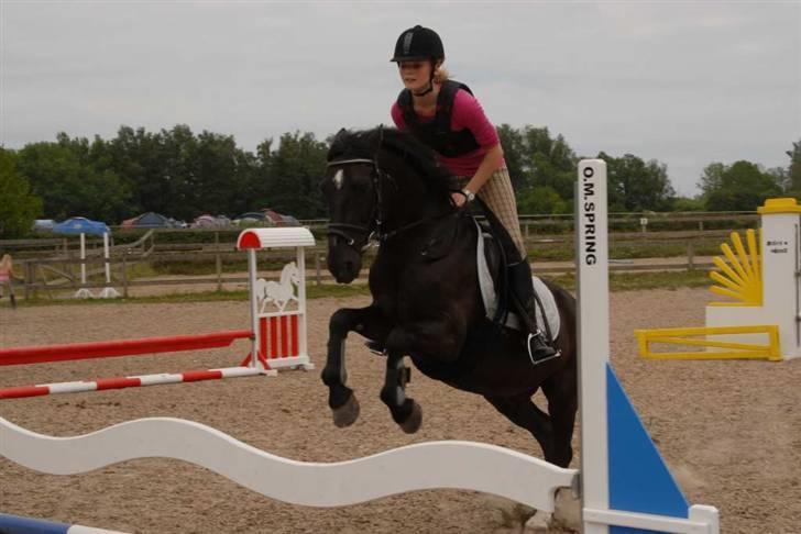 Charlie - Min part billede 14