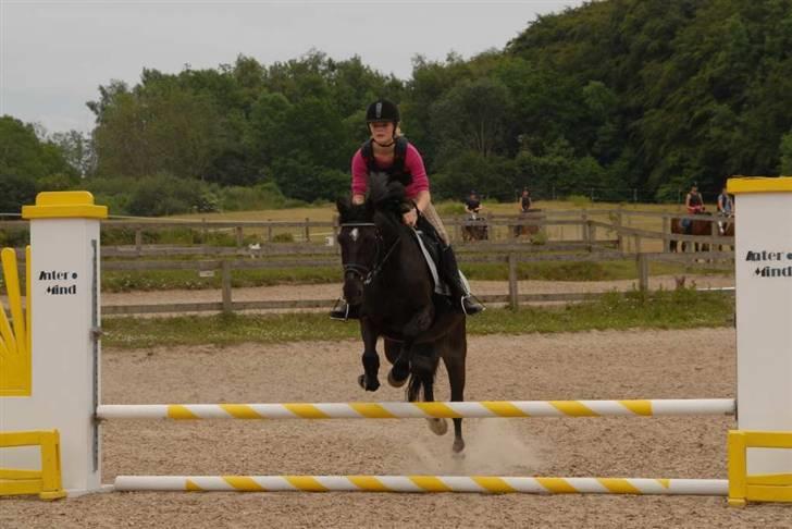 Charlie - Min part - Den flyver ? billede 15