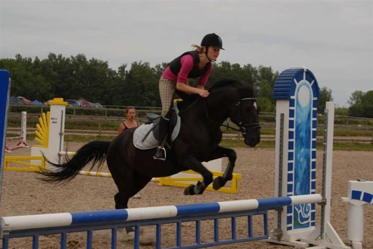 Charlie - Min part - Og ørene forsvandt igen ? billede 16