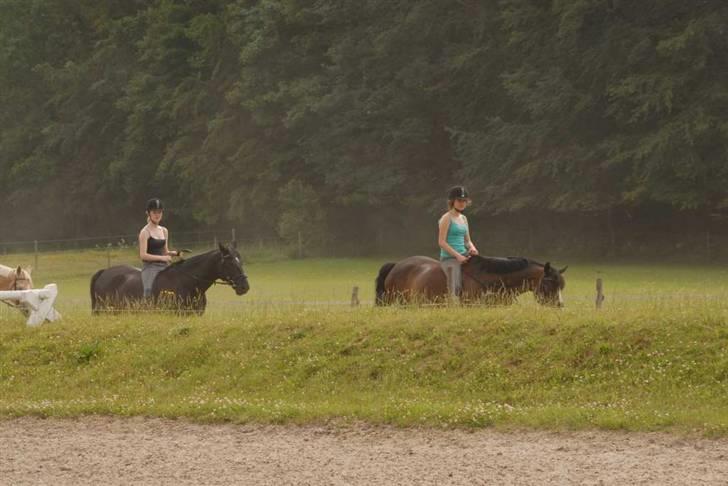 Charlie - Min part - Efter en skridttur i skoven billede 17