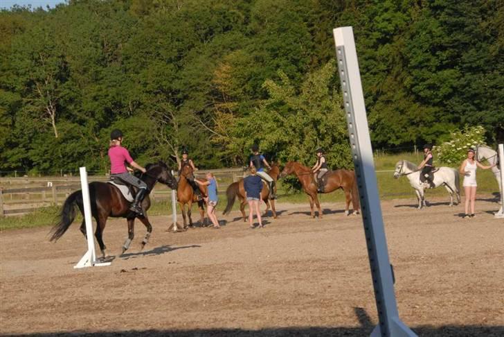 Charlie - Min part billede 20