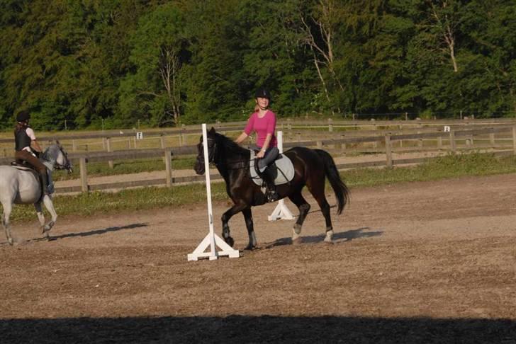 Charlie - Min part - Ponylege (stadig på ridelejren) billede 21