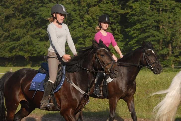 Charlie - Min part - Opvarmning til ponylege 
(det er frederikke forrest i billedet) billede 22