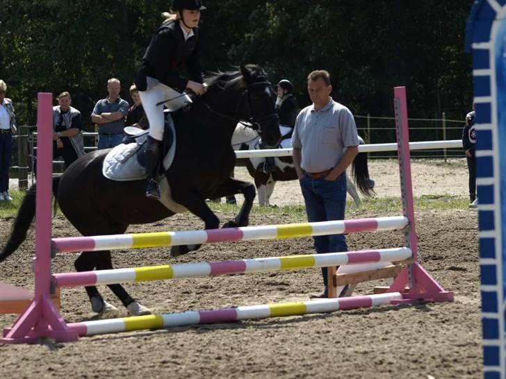 Charlie - Min part - Springstævne i Juni billede 26