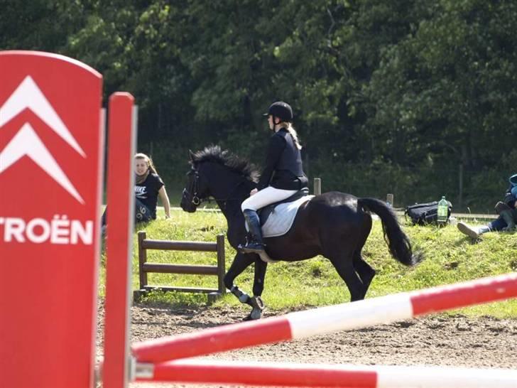 Charlie - Min part - Springstævne i Juni billede 27