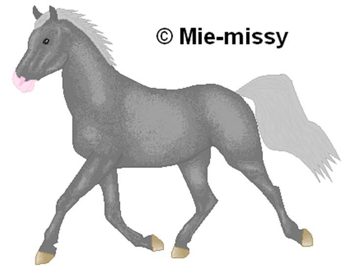 Tegninger jeg har lavet... opdateret - En grå hest, der traver billede 4