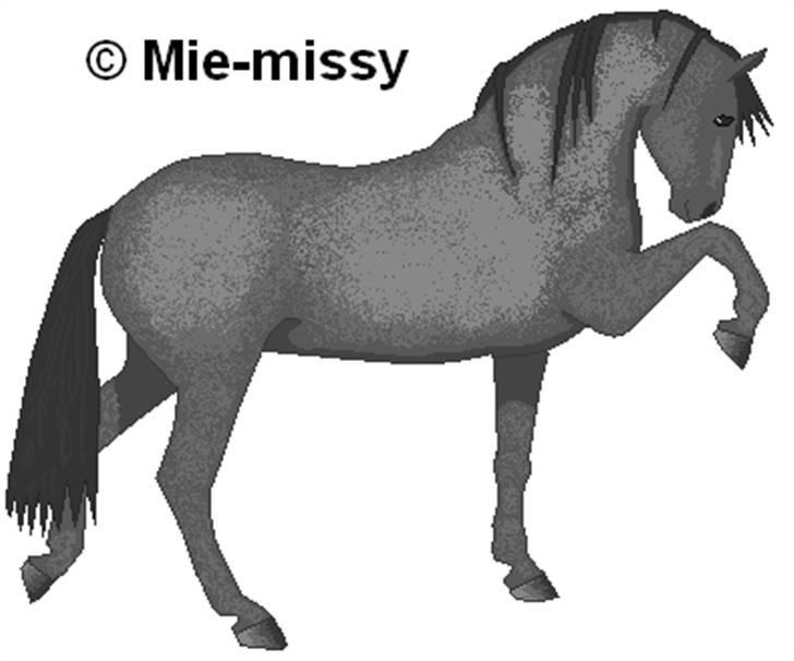 Tegninger jeg har lavet... opdateret - En spansk race.... billede 5