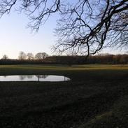 Stemningbilleder fra Nørreskovgaard