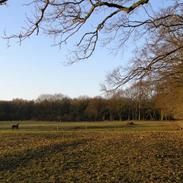 Stemningbilleder fra Nørreskovgaard