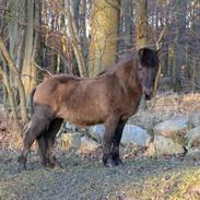 Stemningbilleder fra Nørreskovgaard