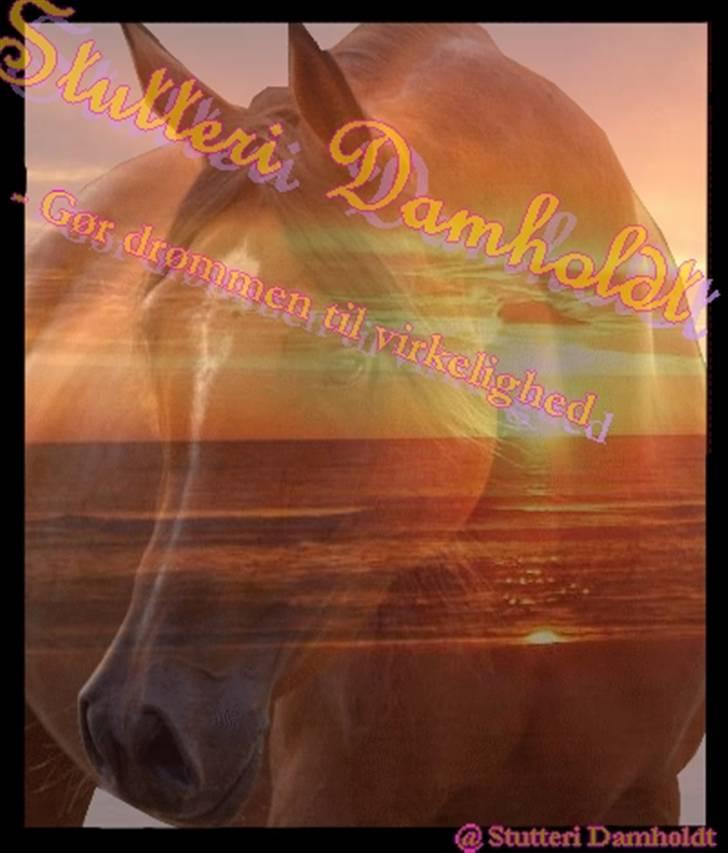 Logo til nforn billede 2