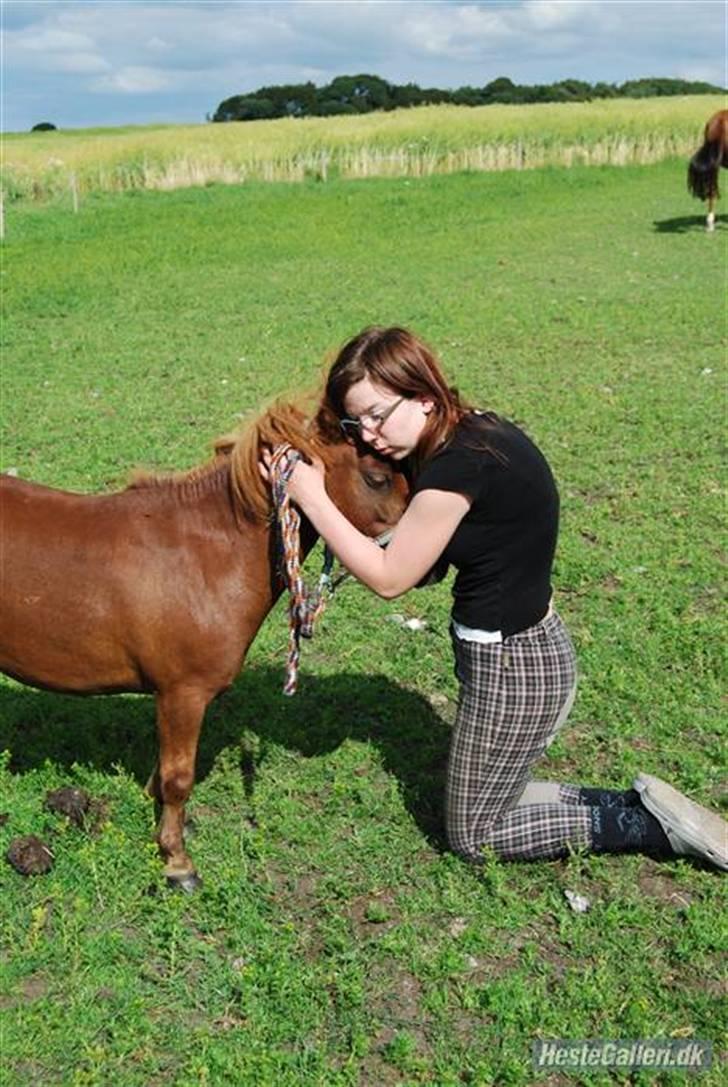 Morbus Scheuermann - min sygdom - Mig og min shetlænderhoppe Chilli. Det er et år siden billedet blev taget. Det ses tydeligt med mig ryg her. billede 6