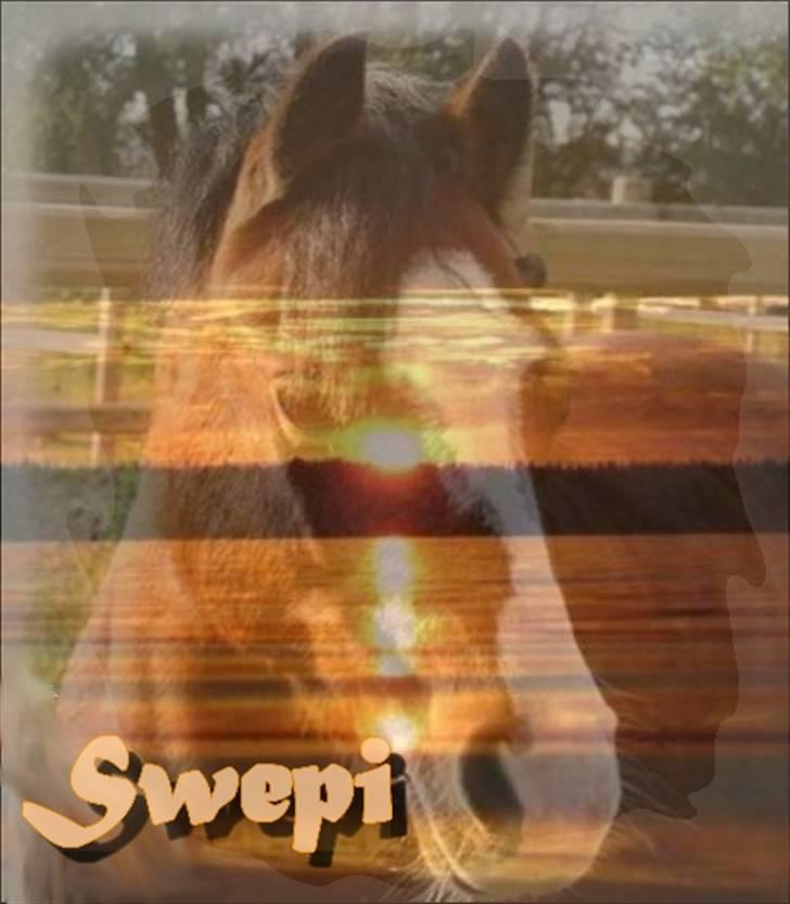 Logo til nforn billede 4