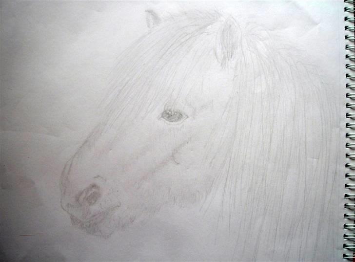 Mine Tegninger - En islænder pony fra en bog mor har med mange hestebilleder som en eller anden prof fotograf har taget.. syntet selv den blev ret god billede 5