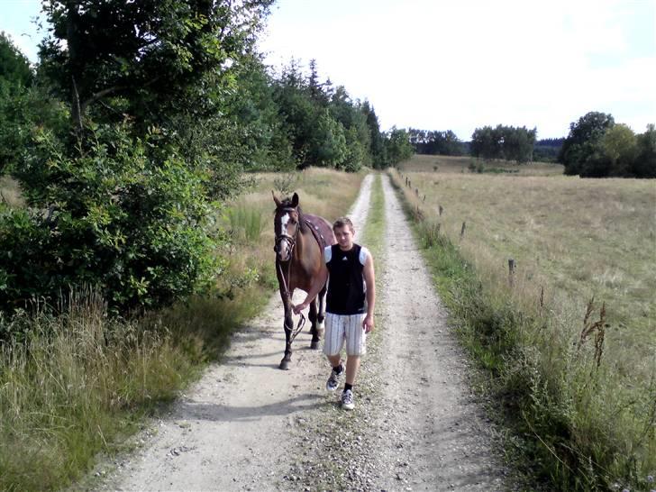 Sommerferie billeder af Tasano og Ace - sommer 2009 - Ude og gå tur med Toft billede 40