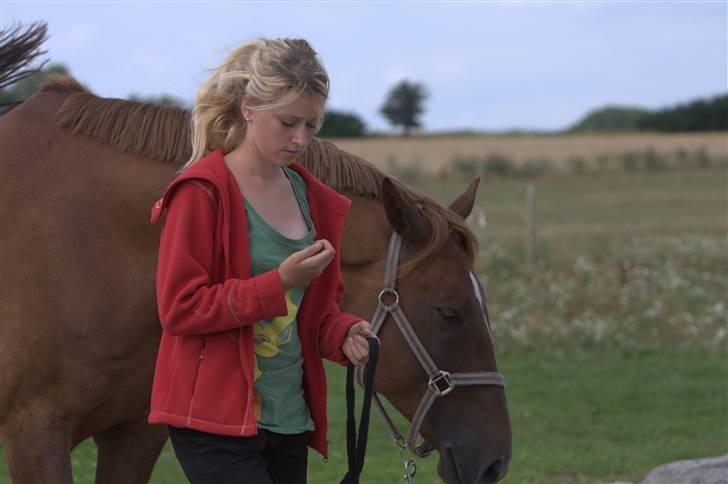 Sjov, Spas, hygge, løsspringningen og tricks (L) billede 3