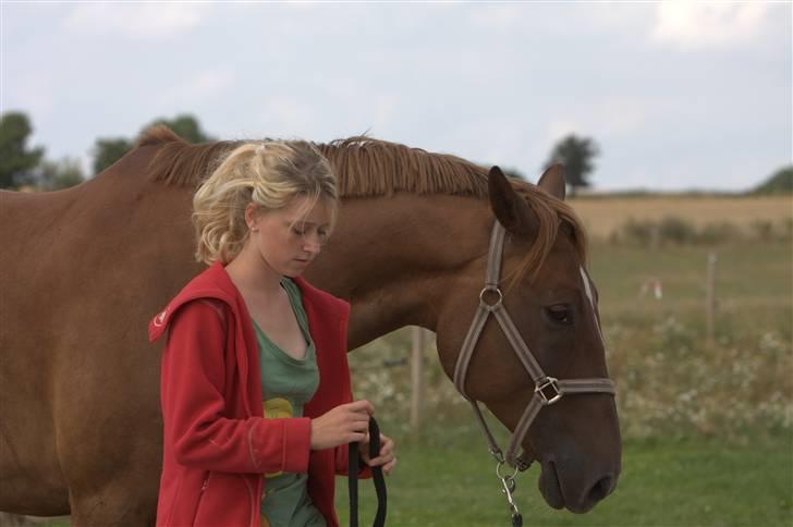 Sjov, Spas, hygge, løsspringningen og tricks (L) billede 4