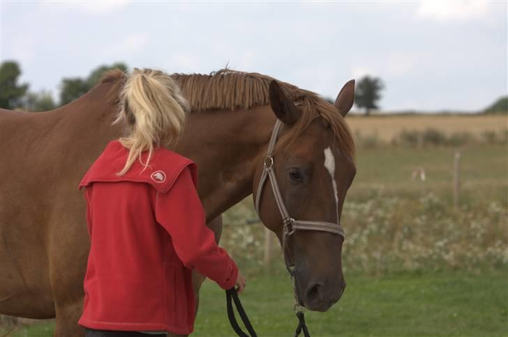 Sjov, Spas, hygge, løsspringningen og tricks (L) billede 5