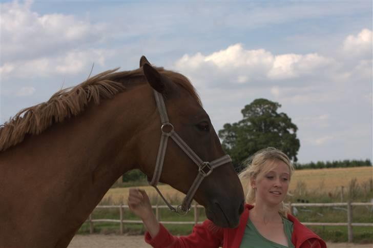 Sjov, Spas, hygge, løsspringningen og tricks (L) billede 9