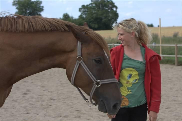 Sjov, Spas, hygge, løsspringningen og tricks (L) billede 10