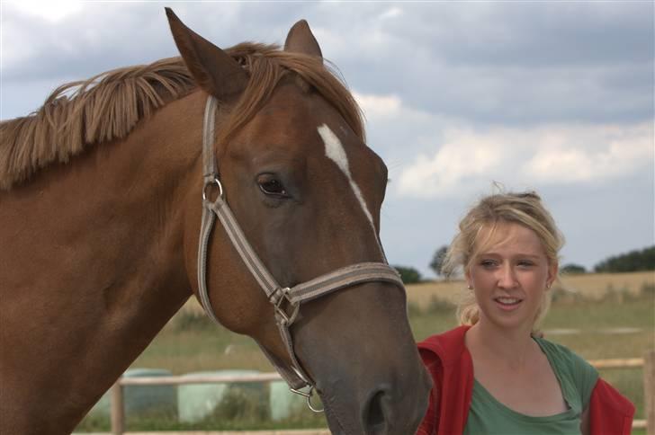 Sjov, Spas, hygge, løsspringningen og tricks (L) billede 12