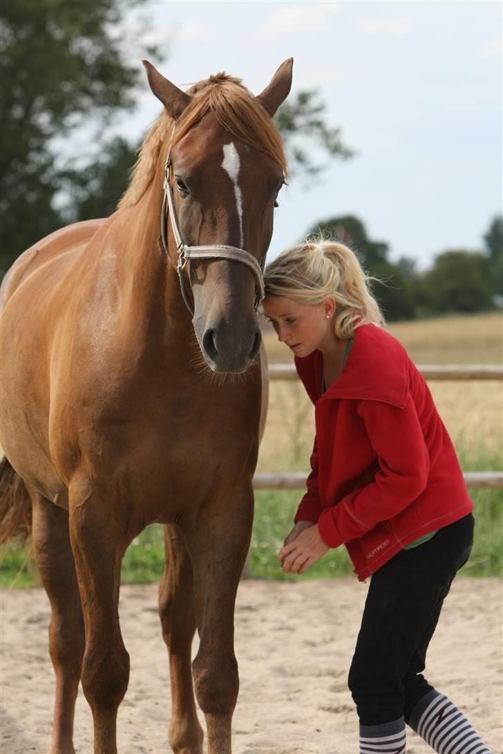 Sjov, Spas, hygge, løsspringningen og tricks (L) billede 19