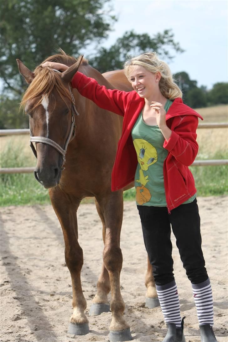 Sjov, Spas, hygge, løsspringningen og tricks (L) billede 21